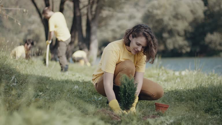 Best Tree Disease Treatment  in Milan, IN