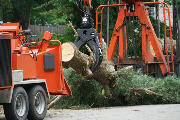 Best Firewood Processing and Delivery  in Milan, IN